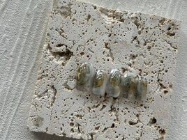 定額トレンドコース