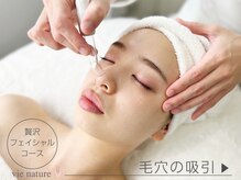 ヴィナチュール(vie nature)/毛穴ケア