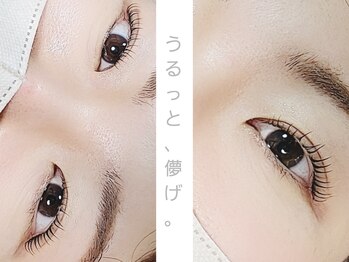 ユーロ(EURO)/まつげパーマ / ラッシュリフト