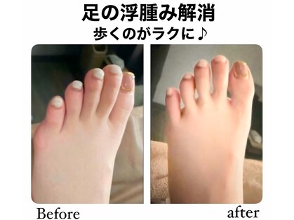 禅(ZEN)の写真