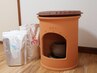 【2週間以内の再温活】よもぎ蒸し40分　￥4,500→￥4,000