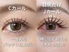 【セーブルorフラット　120～160本】しっかりボリュームある仕上がり