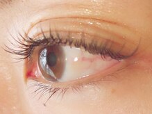 ゲンティアナ(Gentiana)/LEDフラットラッシュ