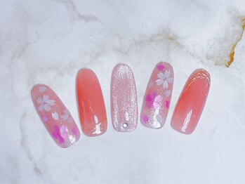 定額デザインB ¥6500