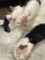 ネイルステーション 松坂屋名古屋店(NAIL STATION) お家の猫ちゃんです♪元猫カフェ店員です♪