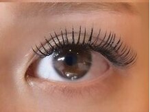 バタフライ 茅ヶ崎店(Butterfly)/バインドロック150束