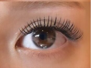 バタフライ 茅ヶ崎店(Butterfly)/バインドロック150束