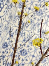 マシュマロハンド/よもぎ蒸し/冷え/むくみ改善