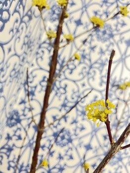 マシュマロハンド/よもぎ蒸し/冷え/むくみ改善