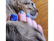 ユーズスタイル(U’style)の雰囲気（ニャンズに会いにぜひお越し下さい♪）