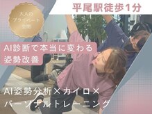 ポスチャー(Posture)