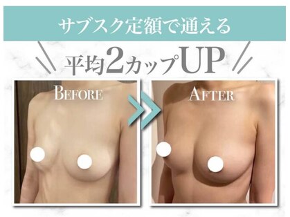 美人バスト 宇都宮店の写真