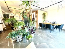 ティエル(Tiele)の雰囲気(カウンセリングはゆったりテーブル。緑に囲まれたセット席。)