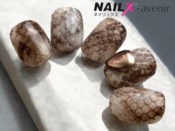 ネイリックス アヴェニール(NAILX avenir)/ブラウン パイソン