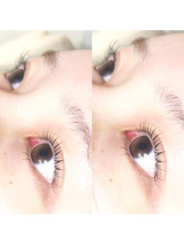 シーペアー(Sea pear)/メーテルカール