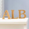 エーエルビー(ALB)ロゴ