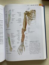 整体院 ツイてる(椎照)/整体院ツイてる-椎照-柏慢性腰痛