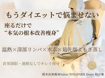 ヨサパーク デイジー(YOSA PARK Daisy)