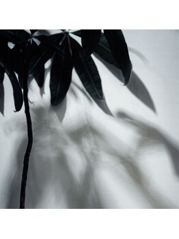 ピカイチ 上通店(pikAicHi)/内観