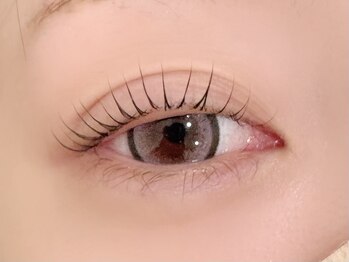 ネコル 木更津(nekoRu)の写真/木更津駅車で5分★SNSで超人気★次世代まつパ×眉毛スタイリングでモテ可愛目元を手に入れて♪