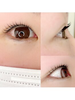 ホーリースター(Holy star)/まつ毛パーマ/ラッシュリフト