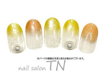 ティーエヌ イオン新潟青山店/1月季節の定額6900円コ―ス