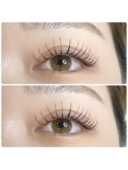 ティーイー(TE)/LEDフラットラッシュつけ放題