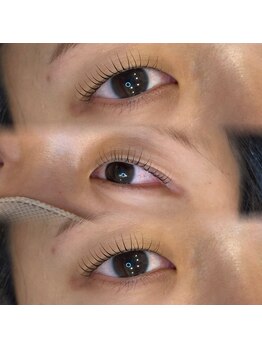 メリス(Mellis)/立ち上げカール