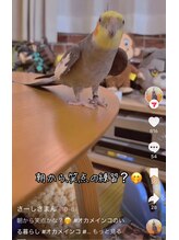 陽だまり整体院/会えたらラッキー！