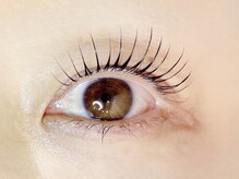 リノ カヒリ アイラッシュ(Lino kahili)/ラッシュリフト