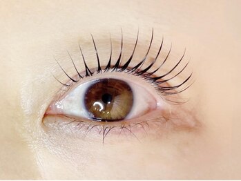 リノ カヒリ アイラッシュ(Lino kahili)/ラッシュリフト