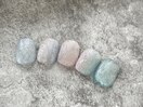新しい季節定額デザイン