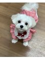 ダナビューティ 練馬桜台店(DANA BEAUTY)&nbsp;ワンちゃん大好き！