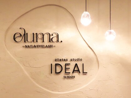 エルマ(eluma.)の写真
