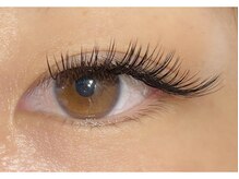 リビング(LIVING)/【フラットラッシュ120本】