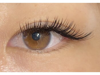 リビング(LIVING)/【フラットラッシュ120本】