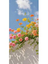 ヤスラギ やすらぎ 蘭