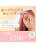 【3周年限定】耳つぼジュエリー両耳付け放題 《個数制限なし》¥4,000→¥3,500