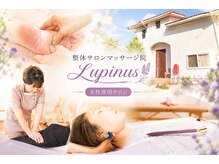 ルピナス(Lupinus)