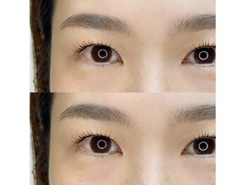 ウィロー(WILLOW)/