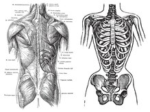 ディーアクション 表参道(d'action)/専門知識を活かしたマッサージ