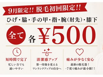 アテナ(ATENA)の写真/《9月限定》脱毛デビュー♪初回1部位500円!痛いの少ない光脱毛で気軽にお試し♪