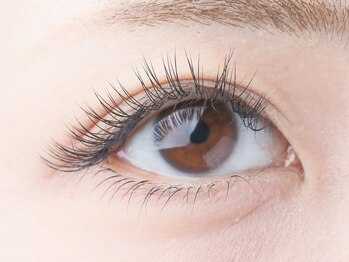 ルッソ(LUSSO)/最高級シルクセーブル140本