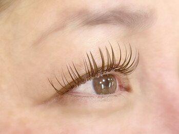 ドーリーラッシュ イオン大野城エスシー店/フラットラッシュカラー