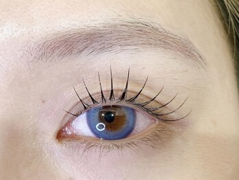 ファンドットジェルム(Fan.germe)/