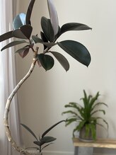 ミチカケ トリムリターン那覇市店/かわいい仲間たち