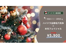 バニスター(Bannister)