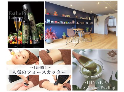 ルーシー(Lucy)の写真