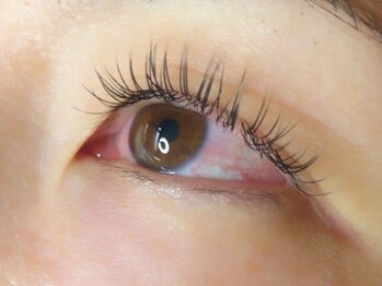 ウルカ アイラッシュ(uruka EYELASH)/フラットラッシュ　120本