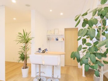 シェリ シェリー(ch'eri,ch'erie)/サロン内